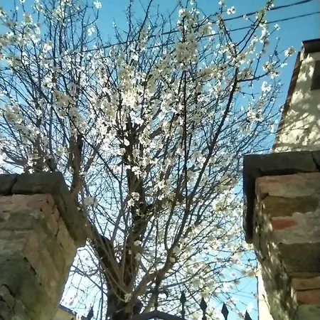 Freetime Trieste * Trieste