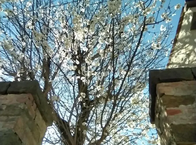 Freetime Trieste * Trieste